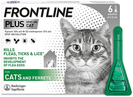 frontline-for-cats