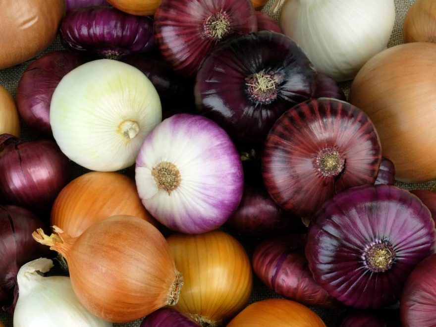 Benefits and Drawbacks of Red Onion