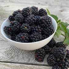 Blackberries Are Important for Men's Health