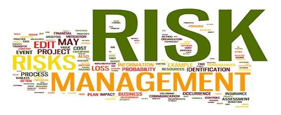 Financial Risk Management Assignment Help