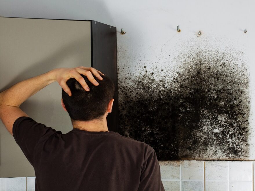 Black Mold On the wall
