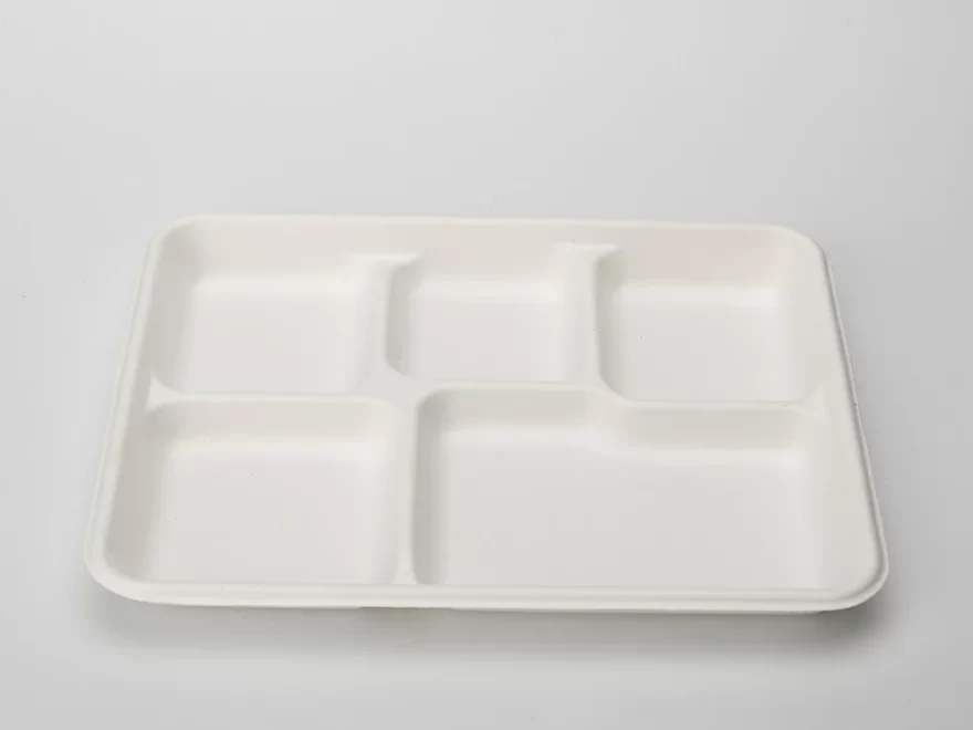 P005 10 Inches Disposable Bagasse Plate