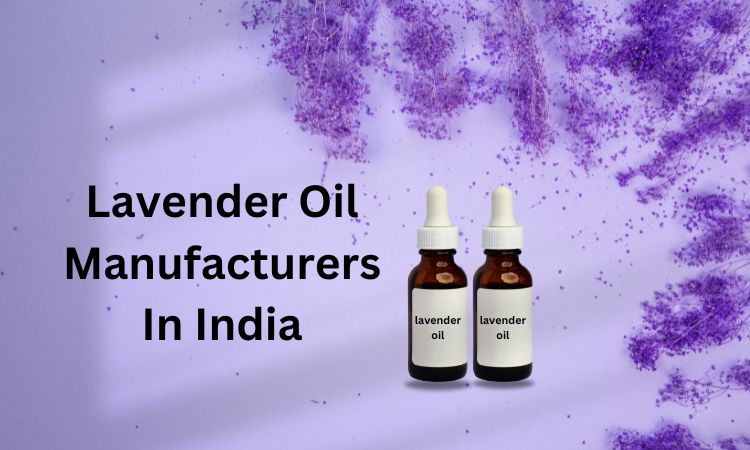 Lavender Oil Manufacturers In India